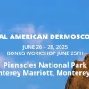 13th Annual American Dermoscopy Meeting (Videos + Slides)