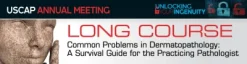 USCAP 2019 Annual Meeting Long Course – Common Problems in Dermatopathology