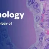 Head & Neck Pathology – The Pathology of Neoplastic Diseases 2025 (Videos with subtitles + Slides)