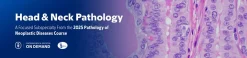 Head & Neck Pathology – The Pathology of Neoplastic Diseases 2025 (Videos with subtitles + Slides)