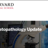Harvard Dermatopathology Update 2022